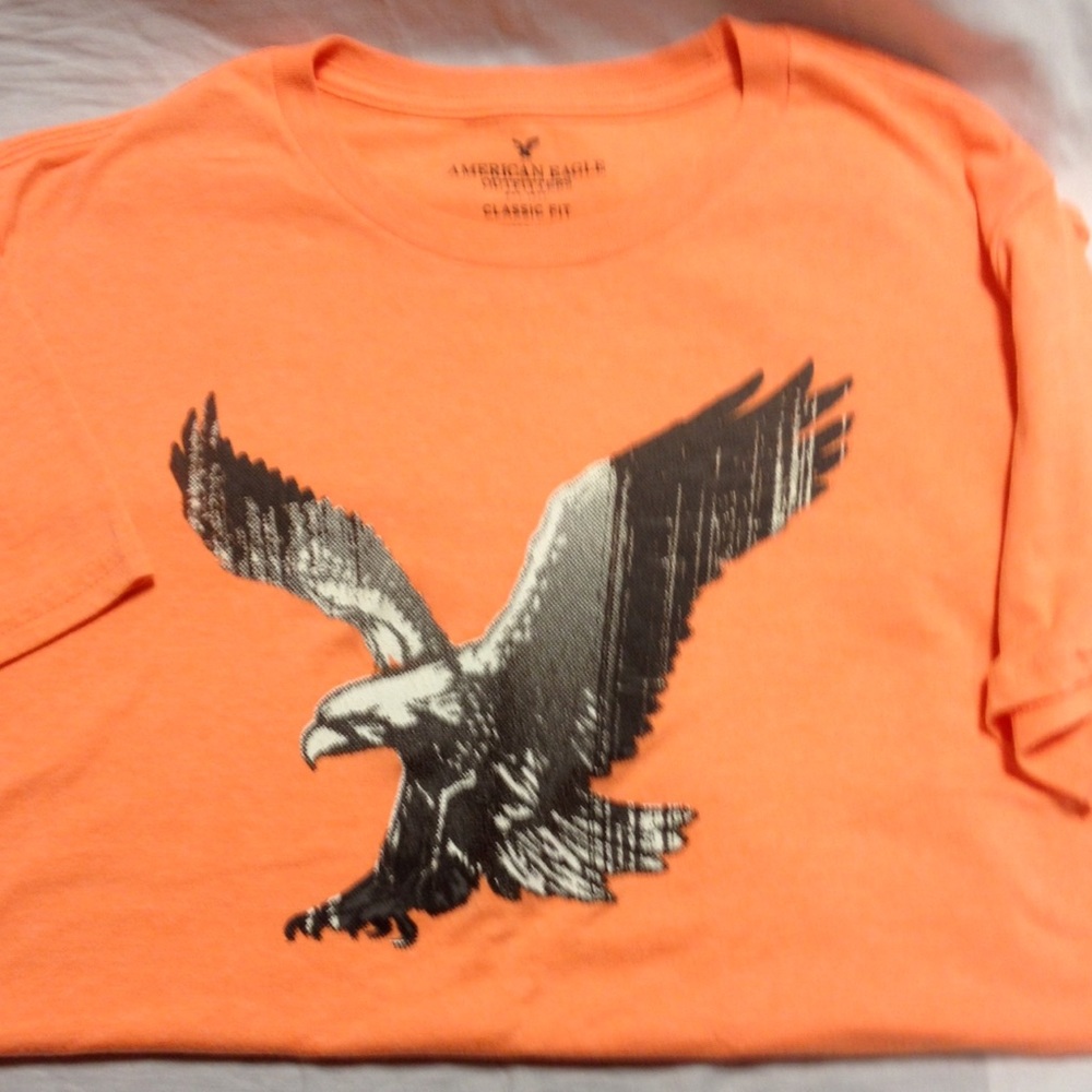 [American Eagle] men’s classic fit tee shirt med
